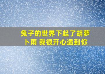 兔子的世界下起了胡萝卜雨 我很开心遇到你